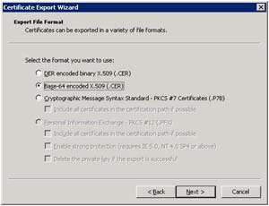 3.i. Choose a file format